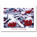 Frostberry Branches Holiday Card H59832