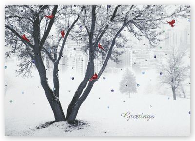 Crimson Cardinals Holiday Card HH10001