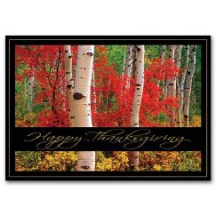 Autumn Thanks Thanksgiving Card