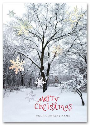 Winter Sparkle Holiday Card HH1644