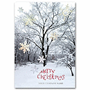 Winter Sparkle Holiday Card HH1644
