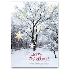 Winter Sparkle Holiday Card