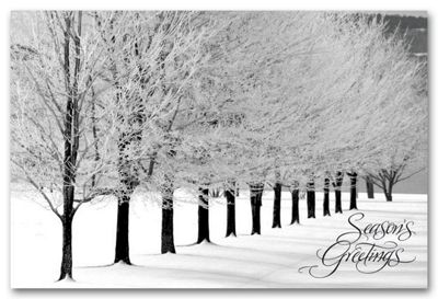 Christmas Postcards - Snowy Arbor Avenue HPC0905