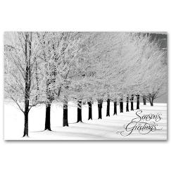 Christmas Postcards - Snowy Arbor Avenue