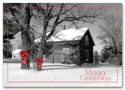 Barnyard Bows Holiday Postcard HPC1203