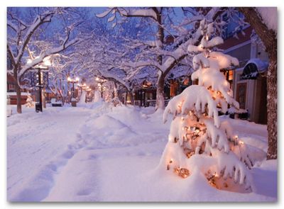 Discount Christmas Cards - After the Snowfall HS09020