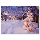Discount Christmas Cards - After the Snowfall HS09020