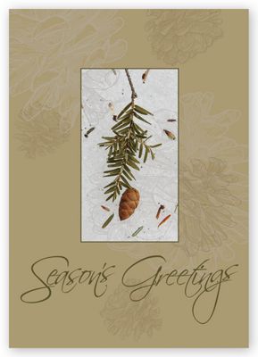 Recycled Paper Christmas Cards - Organic Pine HS10005