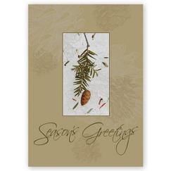 Recycled Paper Christmas Cards - Organic Pine