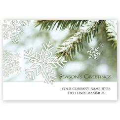 Winter's Arrival Holiday Card