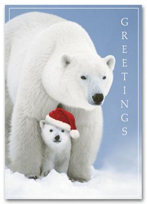 Santa Cub Holiday Card HS1301