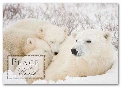 Togetherness Holiday Card HS1313