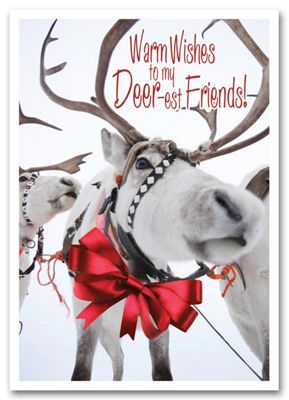 Sleigh Team Holiday Card HS1314