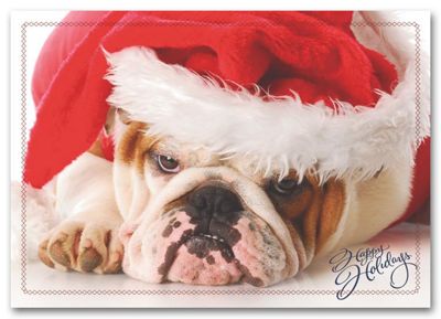 Holiday Pooch Holiday Card HS1318