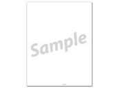 1099 NEC 2-Up Blank Copy Backer Cut - No Stub - 25 Sheets/pk