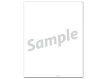 1099 NEC 2-Up Blank Copy Backer Cut - No Stub - 25 Sheets/pk