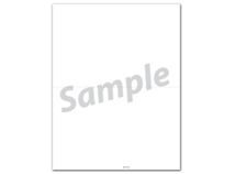 1099 NEC 2-Up Blank Backer No Stub - Bulk 500 Sheets/pk