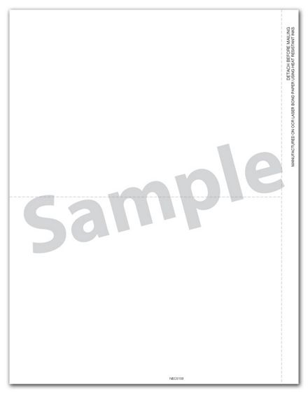 1099 NEC 2-Up Blank with Copy B and Paystub - 25 Sheets/pk