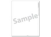 Bulk 1099 NEC 2-Up Blank with Copy B and Paystub - 500/pk