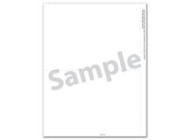 Bulk 1099 NEC 2-Up Blank with Copy B and Paystub - 500/pk