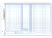 Daily Control Sheets, Pegmaster, Check Cash