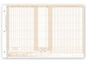 Daily Control Sheets, Pegmaster, Payment