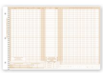 Daily Control Sheets, Pegmaster, Payment