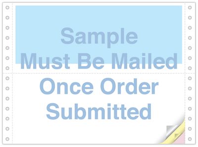 Continuous Check with Standard Security Features P9198N