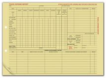 Travel Expense Report
