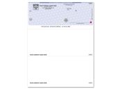 High Security Laser Top Check