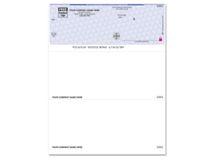 High Security Laser Top Check