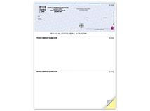 High Security Laser Top Check