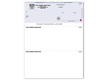 High Security Laser Top Check