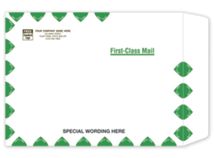 Tyvek First Class Mailing Envelope