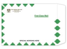 Tyvek First Class Mailing Envelope