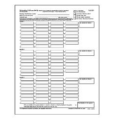 Laser 941B, Supplemental Record Federal Tax Liability