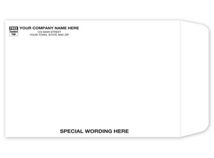 White Tyvek Envelope
